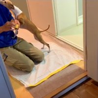 顔を近づけることちゃん