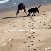 砂山を崩すロコくん