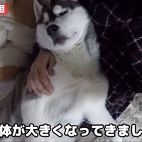 愛情を注がれて、すくすく成長