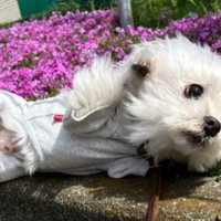 ビックリ顔が可愛い