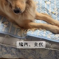 見守り隊の交代です