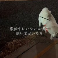 匂いを辿って、再び接近