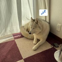 はみ出してもお構いなし