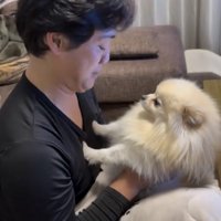 必死に踏ん張る犬