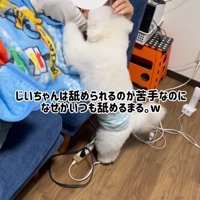 ソファに横になっている男性の顔を舐める犬