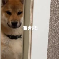 「まだ出てこないの？」