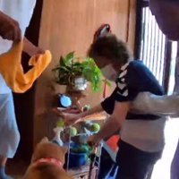 家の中に上がろうとする老年女性と、それを見守る犬