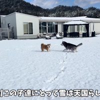 お庭で雪遊び！！
