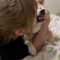 「やめろや！！」