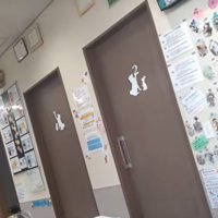 モニターを見つめる犬