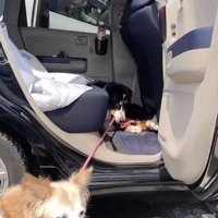 「マリンちゃんも行かないでね」の顔