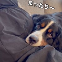 まったりタイム