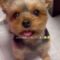 これからも元気でね！！