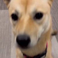 すっかり幸せな表情に