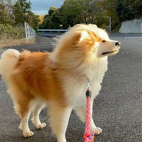 「これからどこに行こうかな？」