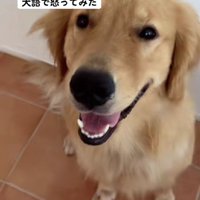 「ごめんなさい」