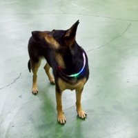 「それセクハラですよね？」