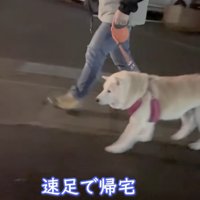 スタコラサッサと帰宅