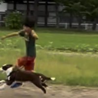 お散歩も全力です♪