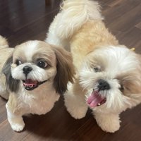 仲良し