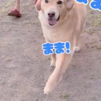 笑顔のメルくん