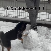 職人のような千幸ちゃん