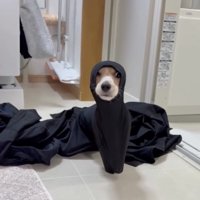 顔が出てきた！