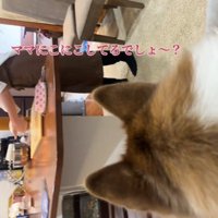 パンを作るママ1