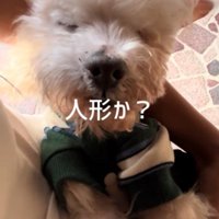 家に着いても寝てる！