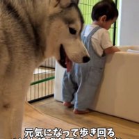 赤ちゃんが心配なスノウくん