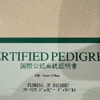 血統証明書が送られてきたら…