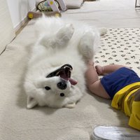 弟くんにアピール