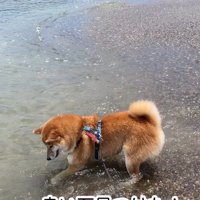 石を見つけた海くん
