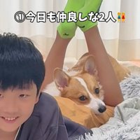 宿題中の男の子とココちゃん2