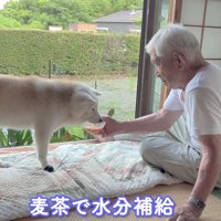 愛情あふれる光景にホッコリ