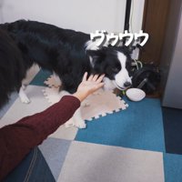 「ゲームを優先したくせに！もう知らないっ」