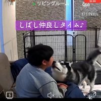 顔を舐める息子さん