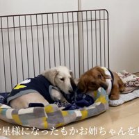 たくさんの仲間が出来た