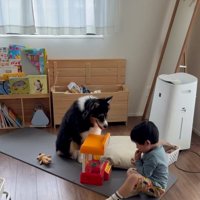 息子さんとレアちゃん