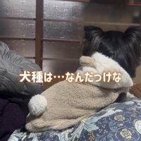 シンキングタイム…