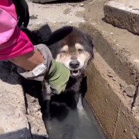 なんとか命が繋がれた