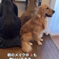 女の子の隣に座る犬