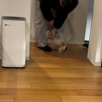 家族に撫でてもらう小型犬