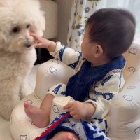 孫を預かった時のチャイちゃん3