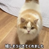 レモンさんがすぐに来てくれました！