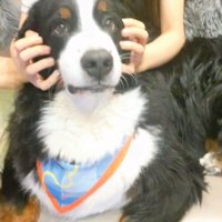 頬をつかまれるハリーくん