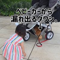 むぎちゃんと女の子2人のお散歩5