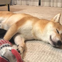 のんびり