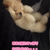 小梅ちゃんの成長2