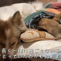 寄り添うタナちゃん